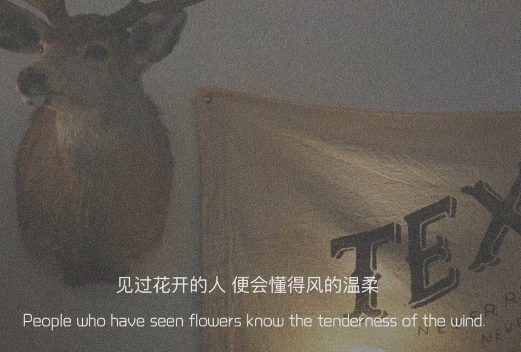 关于三个人的爱情说说