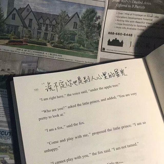 文案情感伤感英文(爱情文案伤感英文)