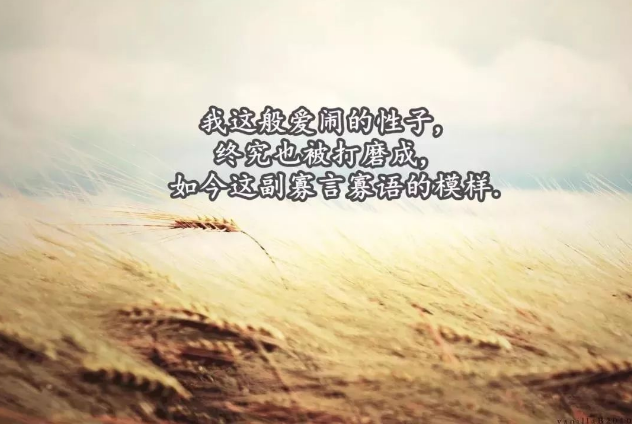适合发朋友圈的高质量句子2021