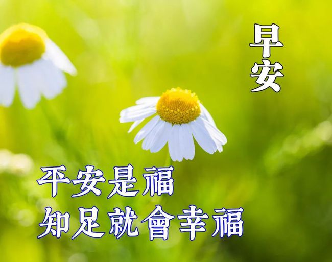 2021最红短句早上好