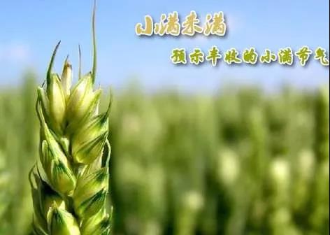 小满祝福语节气图片 小满节气图片简单