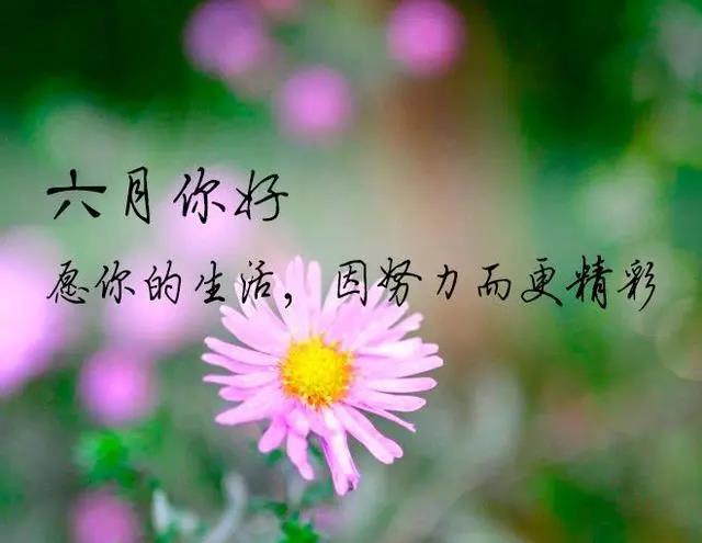 六月的微信图片大全 六月文字图片大全