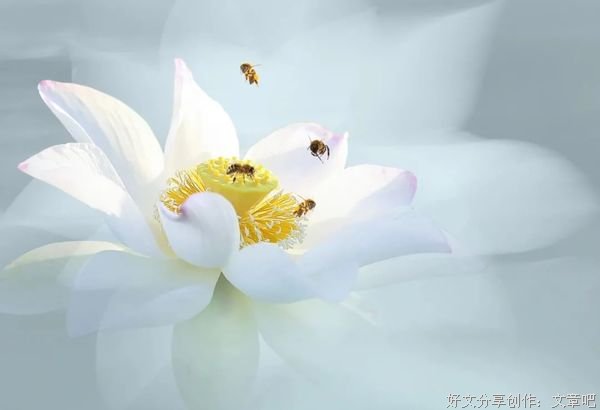 遇见，就是最美的缘