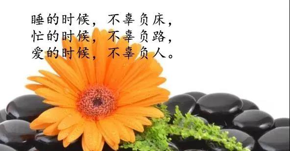 元气满满的早安文案