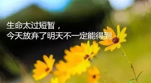元气满满的早安文案