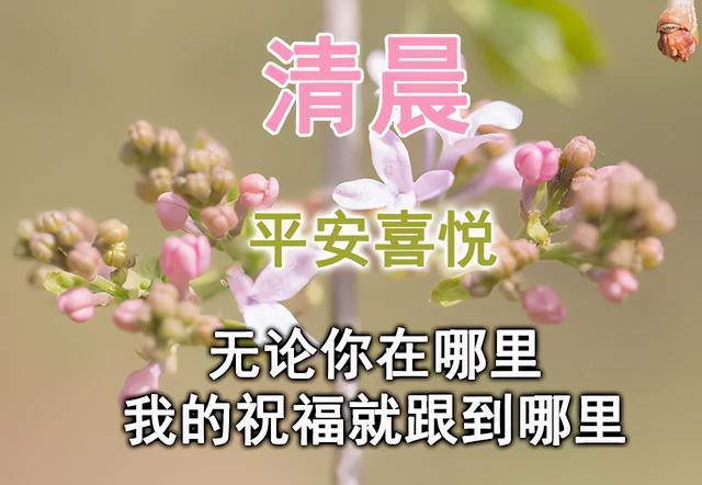 可爱又治愈的早安文案