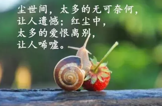 心灵鸡汤发朋友圈正能量