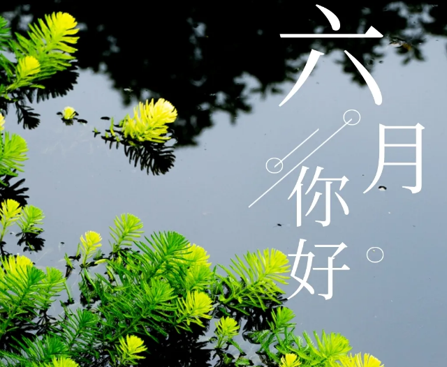 六月你好图片小清新 你好六月唯美图片