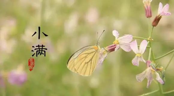小满说说配图 小满说说图片心情