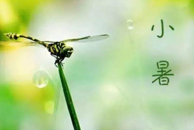 小暑文案朋友圈