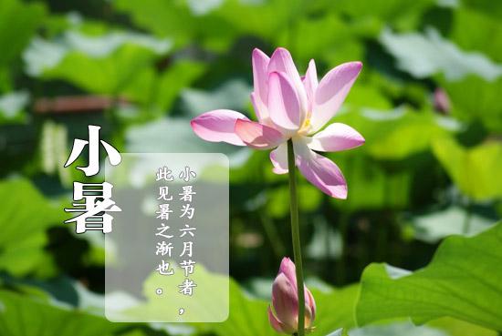 小暑节气微信说说精选 小暑节气说说怎么发