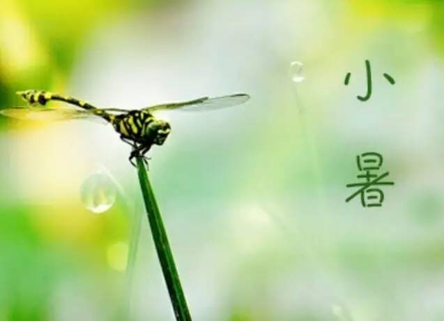 小暑节气微信说说精选 小暑节气说说怎么发