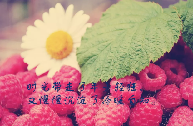 很简短的心情说说 简单生活心态的句子
