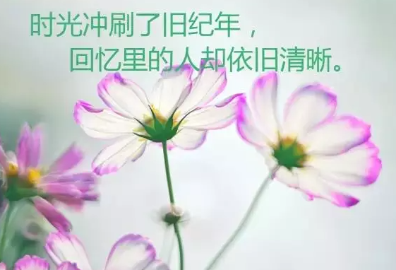 经典简单的心情短句