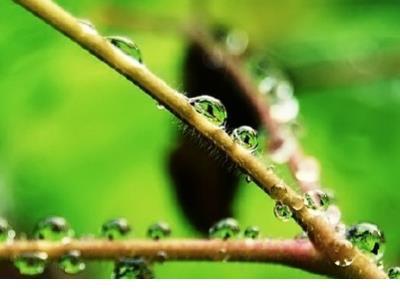 心累的句子说说心情 你感觉到我一天比一天更爱你吗