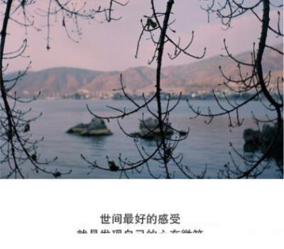 极言环境安静的句子