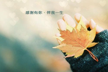 2022最火情感语录短句，看明白这些句子就懂得了爱情