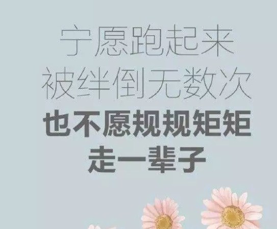过好每一天的唯美句子