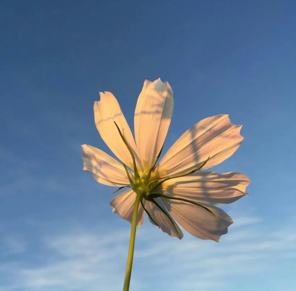 天气变热了发朋友圈 炎热夏季的说说