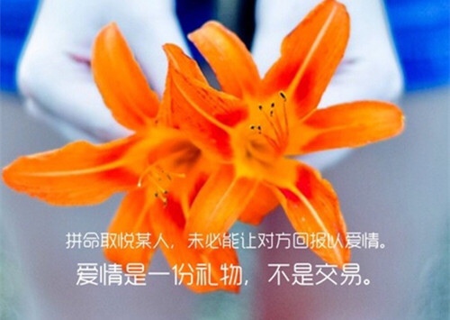 2021心灵鸡汤每天一心情语录(44句)