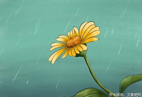 此去经年，期一场最美的相逢