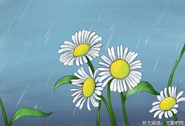此去经年，期一场最美的相逢