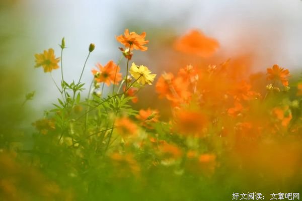 有一种幸福，叫珍惜眼前人