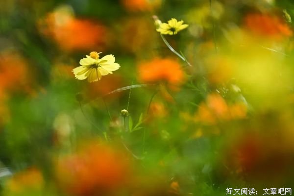 有一种幸福，叫珍惜眼前人