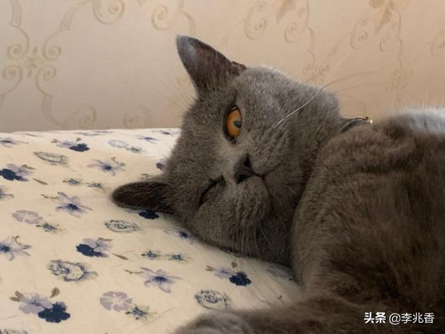 沙雕情感文案长句搞笑(笑到窒息的沙雕文案)