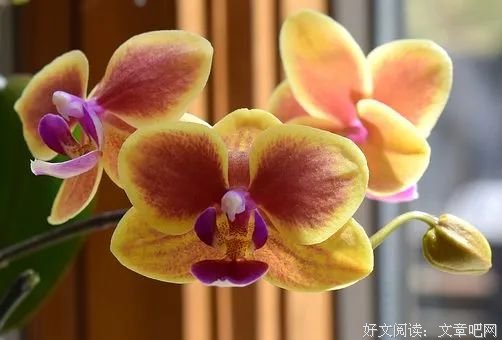 有人惦记，就是幸福