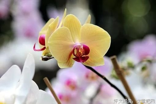 有人惦记，就是幸福