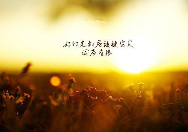 适合月初第一天励志的语句