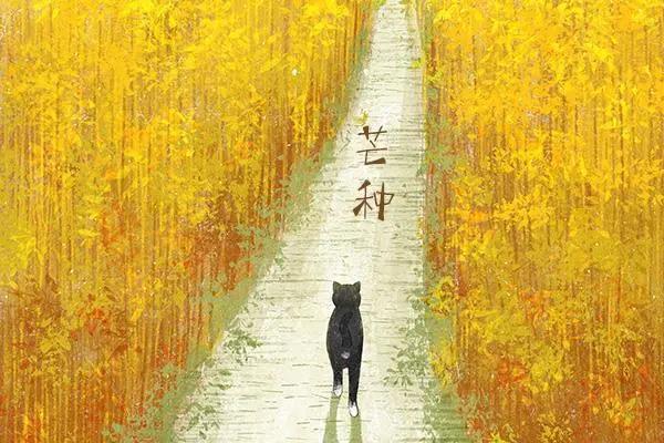 芒种的美句 芒种的文艺文案