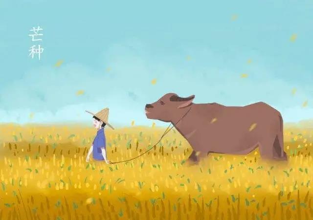 芒种朋友圈图片 今日芒种最美图片