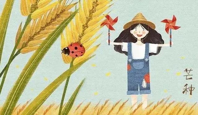 芒种朋友圈图片 今日芒种最美图片