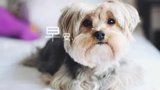 新的一月早安祝福语