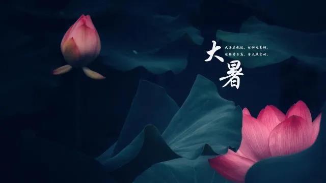 大暑的经典祝福语文案
