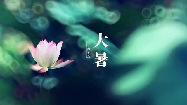 大暑的经典祝福语文案
