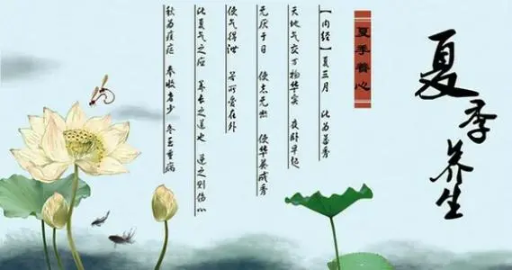 夏季养生短信大全 养生知识夏季养生问候