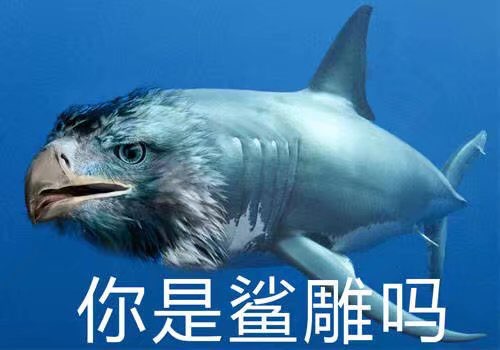 幽默搞笑沙雕的文案