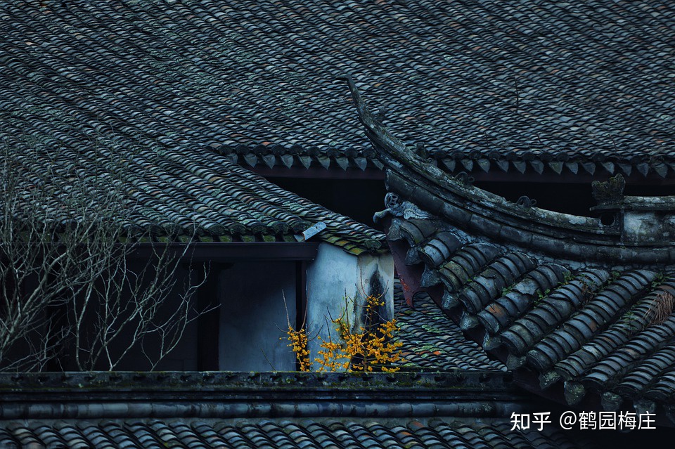 你在哪里？等我回来找你！(1)