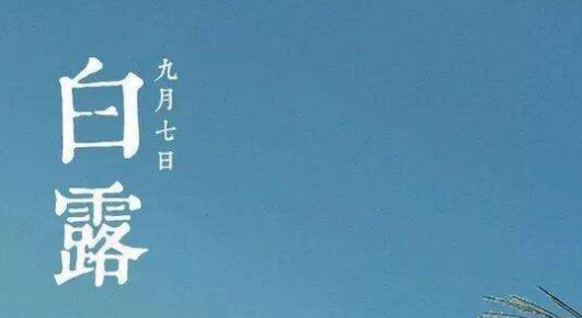 2021二十四节气白露经典祝福语