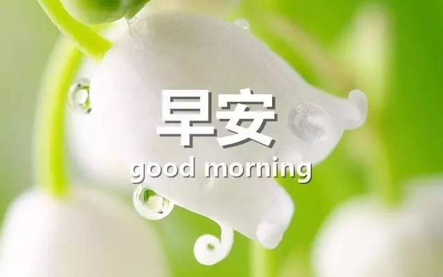 早安祝福语最温馨的话亲人朋友