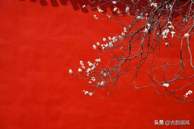 关于节日的古诗 与春节有关的诗句了解多少