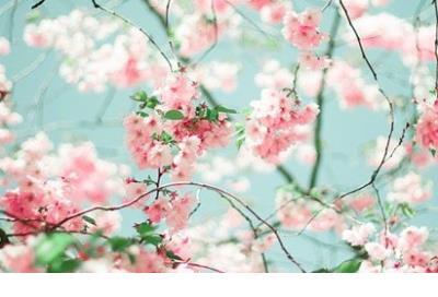 伤感悲伤绝望心情文章 qq伤感语录