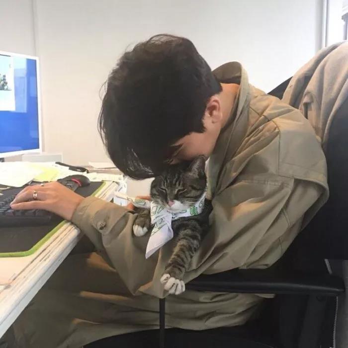表达告别的文艺句子
