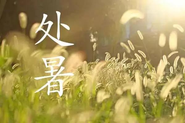 描写处暑节气的优美句子
