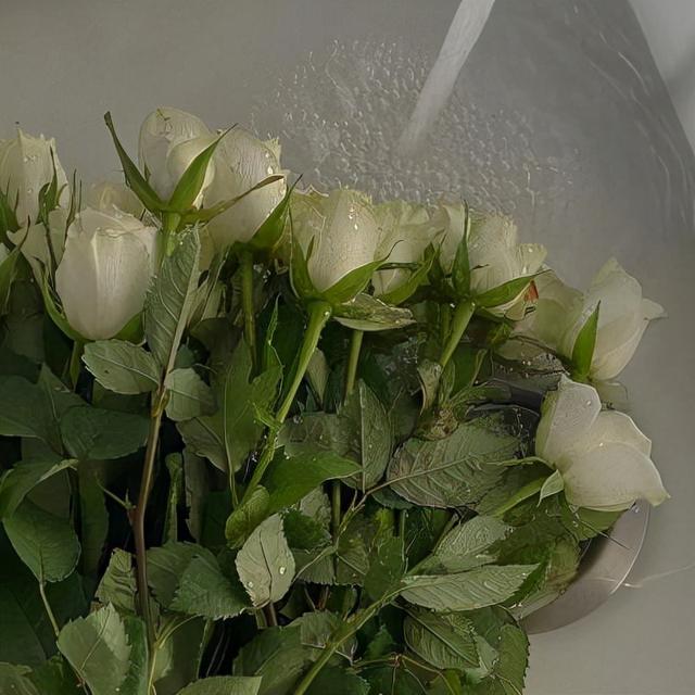 情感点赞超高文案(情感文案暖心)
