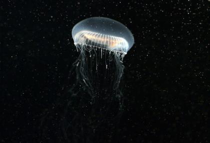 半夜被恶吓醒的适合发朋友圈句子 半夜从梦中惊醒的句子