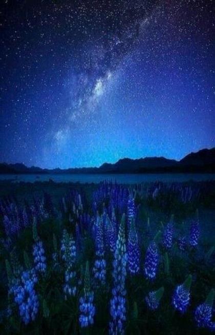 一个人深夜失眠语录 失眠痛苦句子说说心情